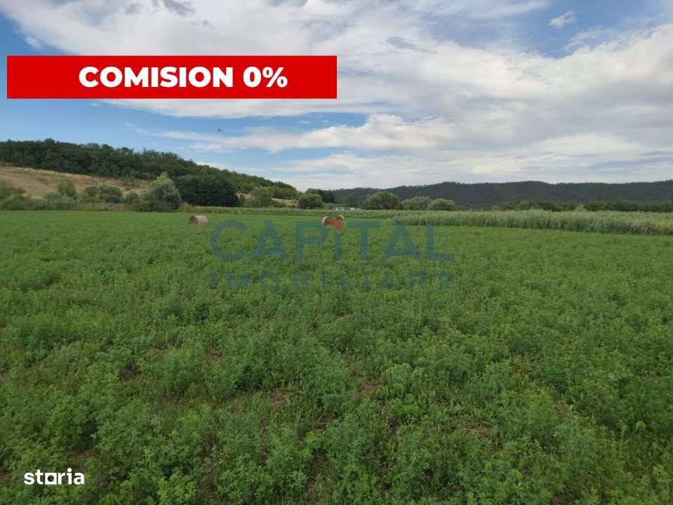 Comision %! Teren intravilan 22 400 mp, suprafata plana, sat Fundatura - Imagine principală: 1/4