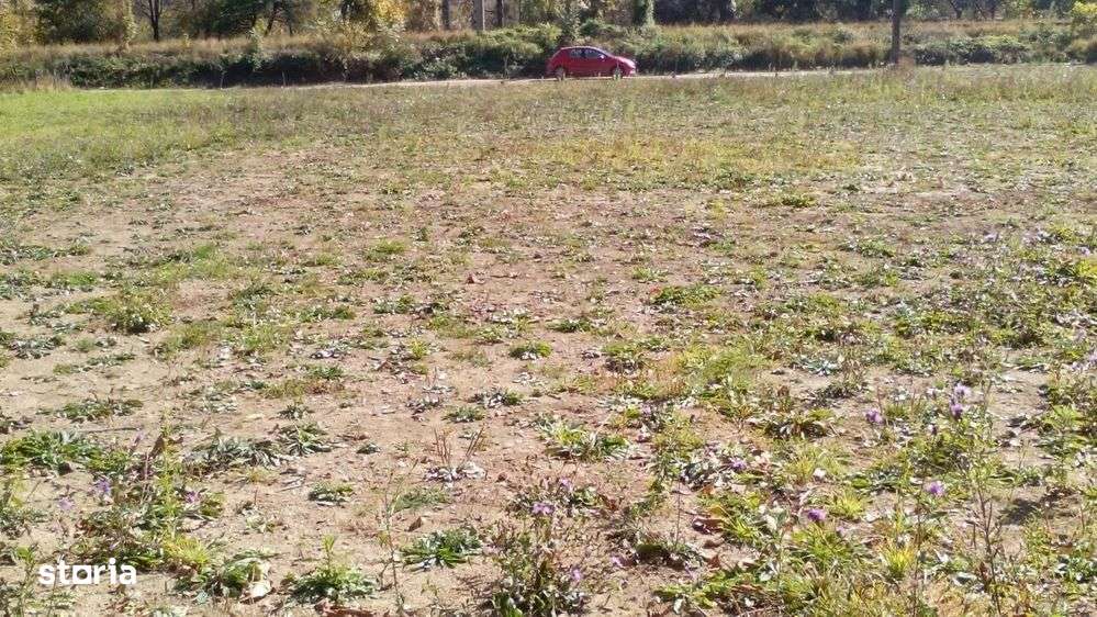 Teren Dambul Morii - Imagine principală: 2/2