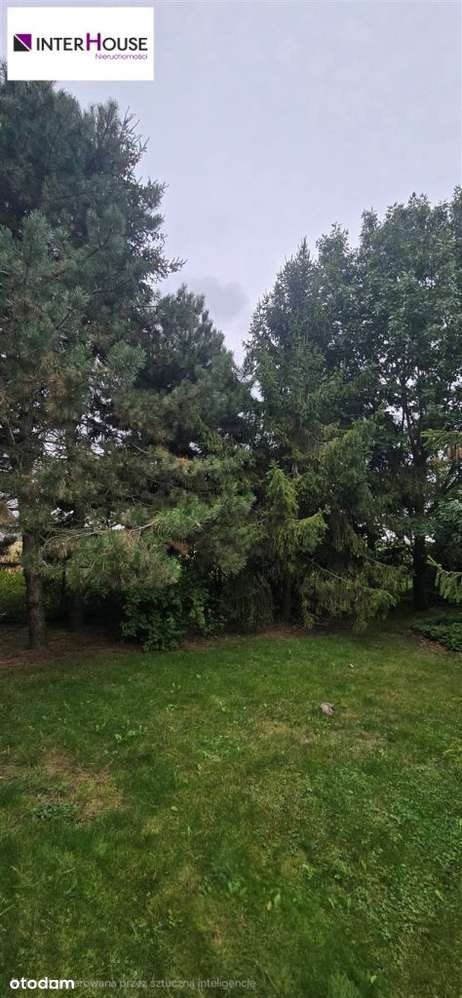 Działka otulona zielenią. Zbrosławice. - Pełny obrazek: 5/6