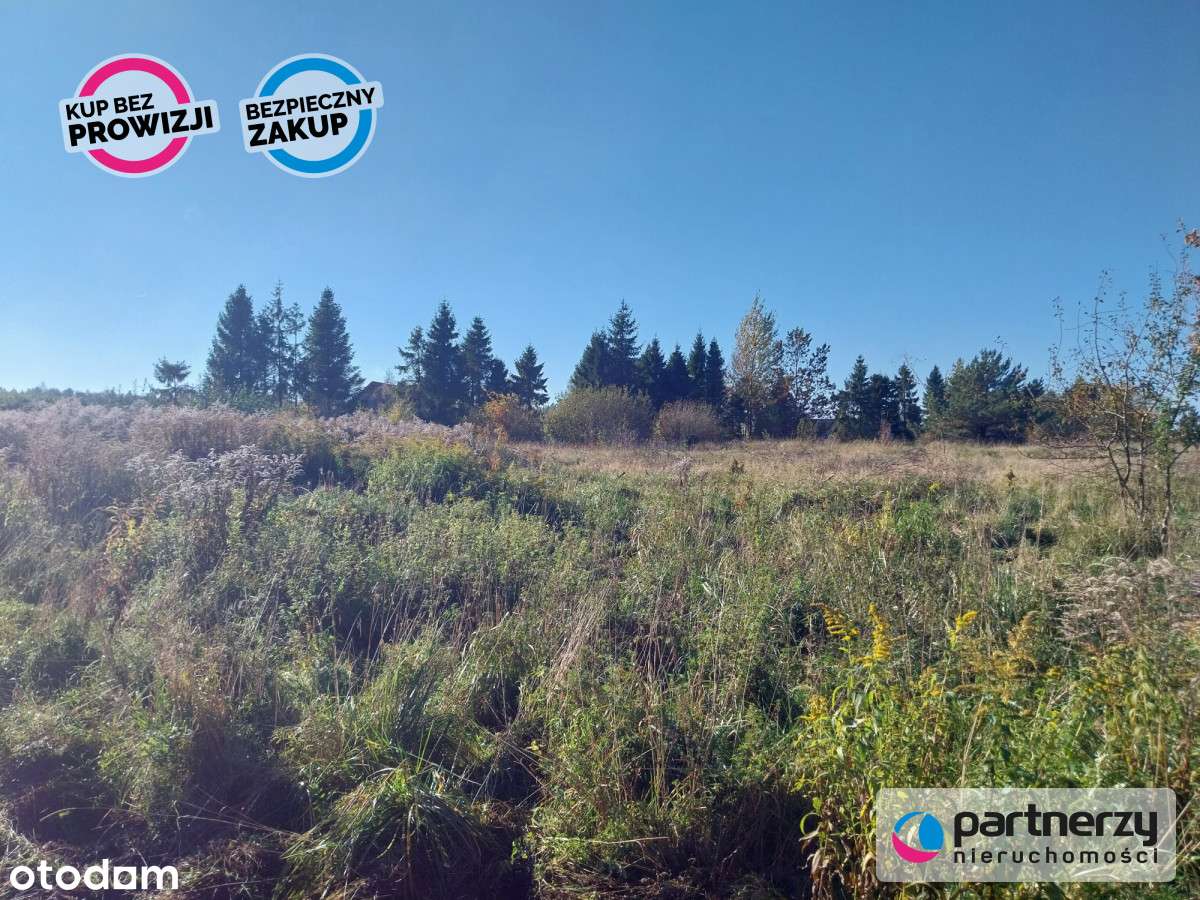 Działka 1,5ha pod zabudowę jednorodzinną - Pomlewo - Pełny obrazek: 4/10