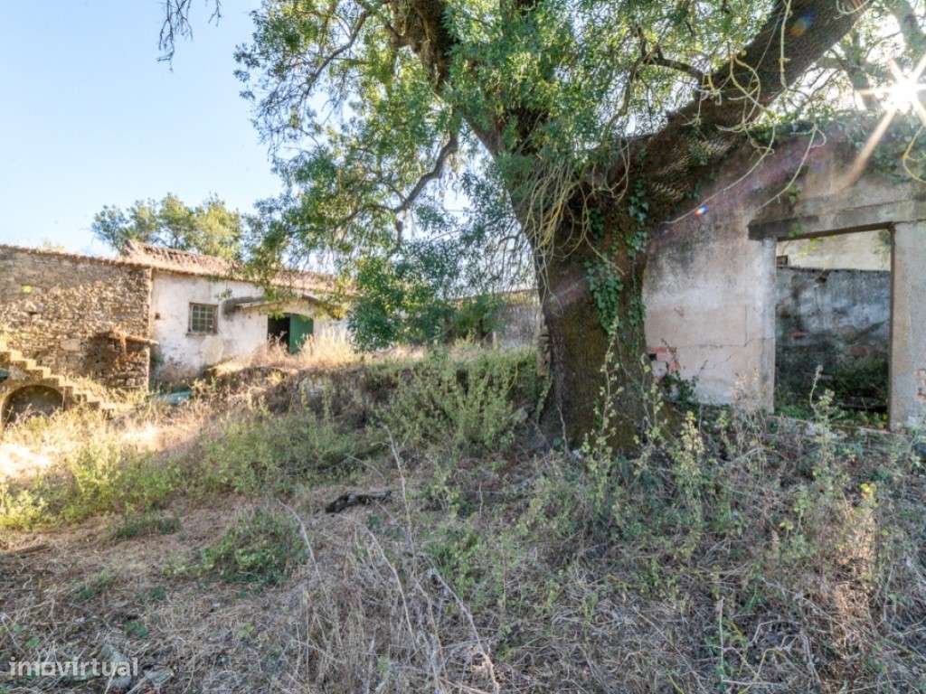 Quinta - Freiria - Sobral Monte Agraço-12