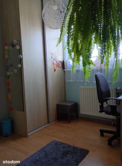 2 pokoje z windą, balkonem i komórką - Pełny obrazek: 4/6