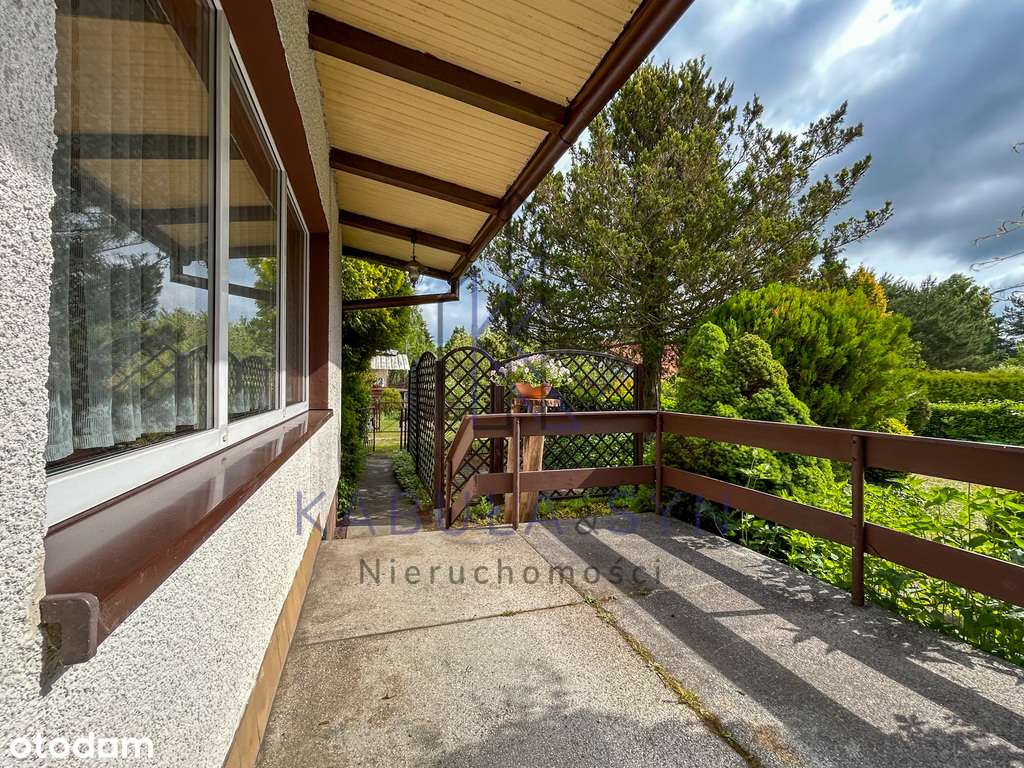 Działka ROD _ linia nad wodą _ Zalew Koronowski - Pełny obrazek: 4/20