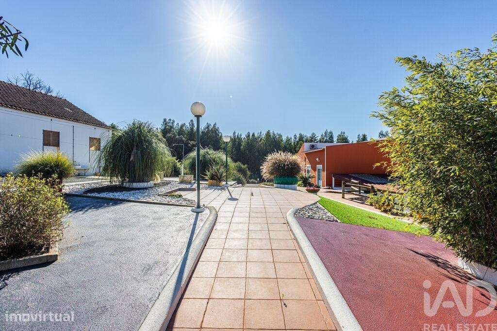 Quinta T3 em Alcobertas de 255,00 m2 - Grande imagem: 5/29