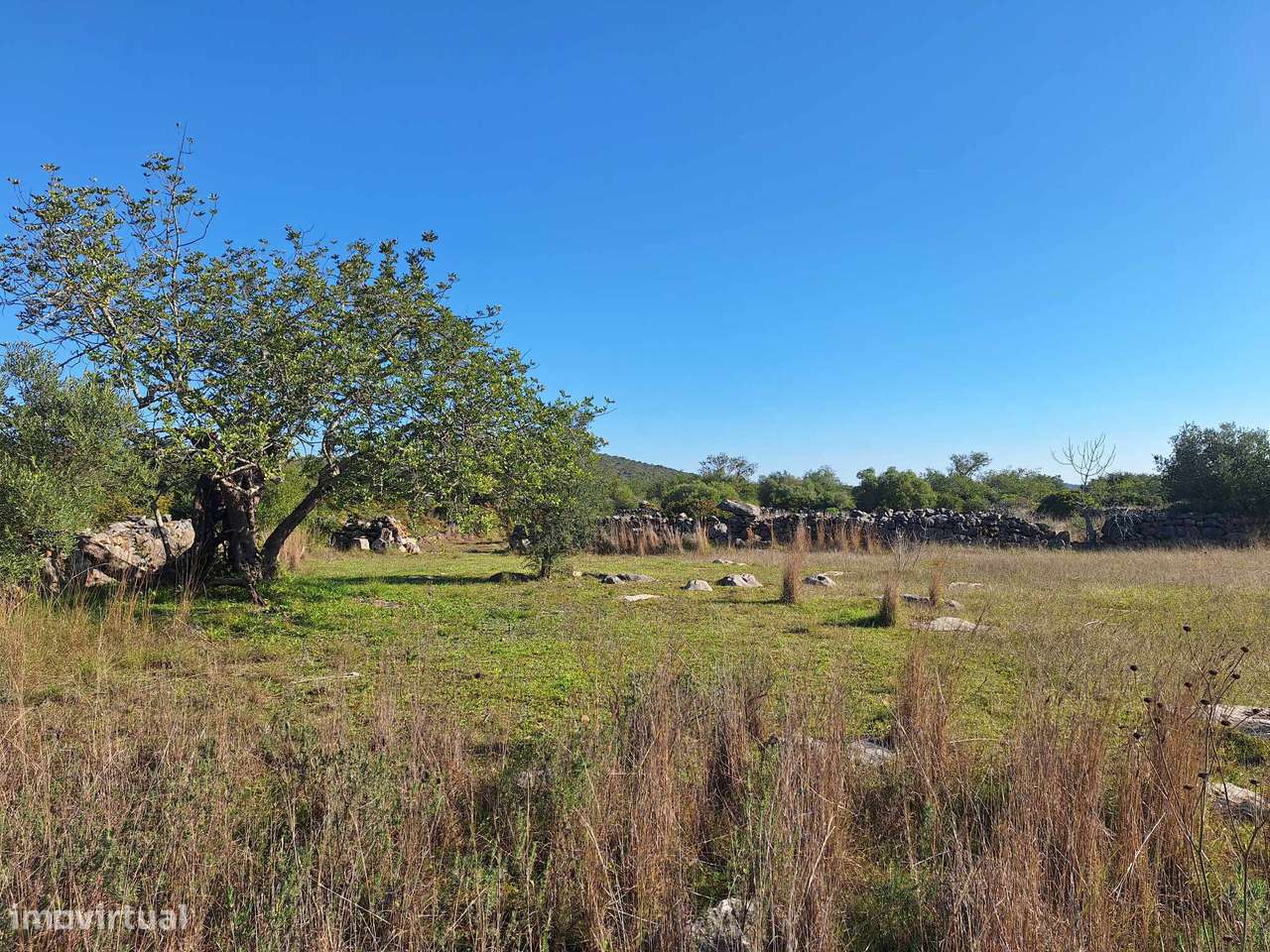 Terreno Rústico no Sítio do Laranjeiro de Santa Catarina da Fonte d...-11