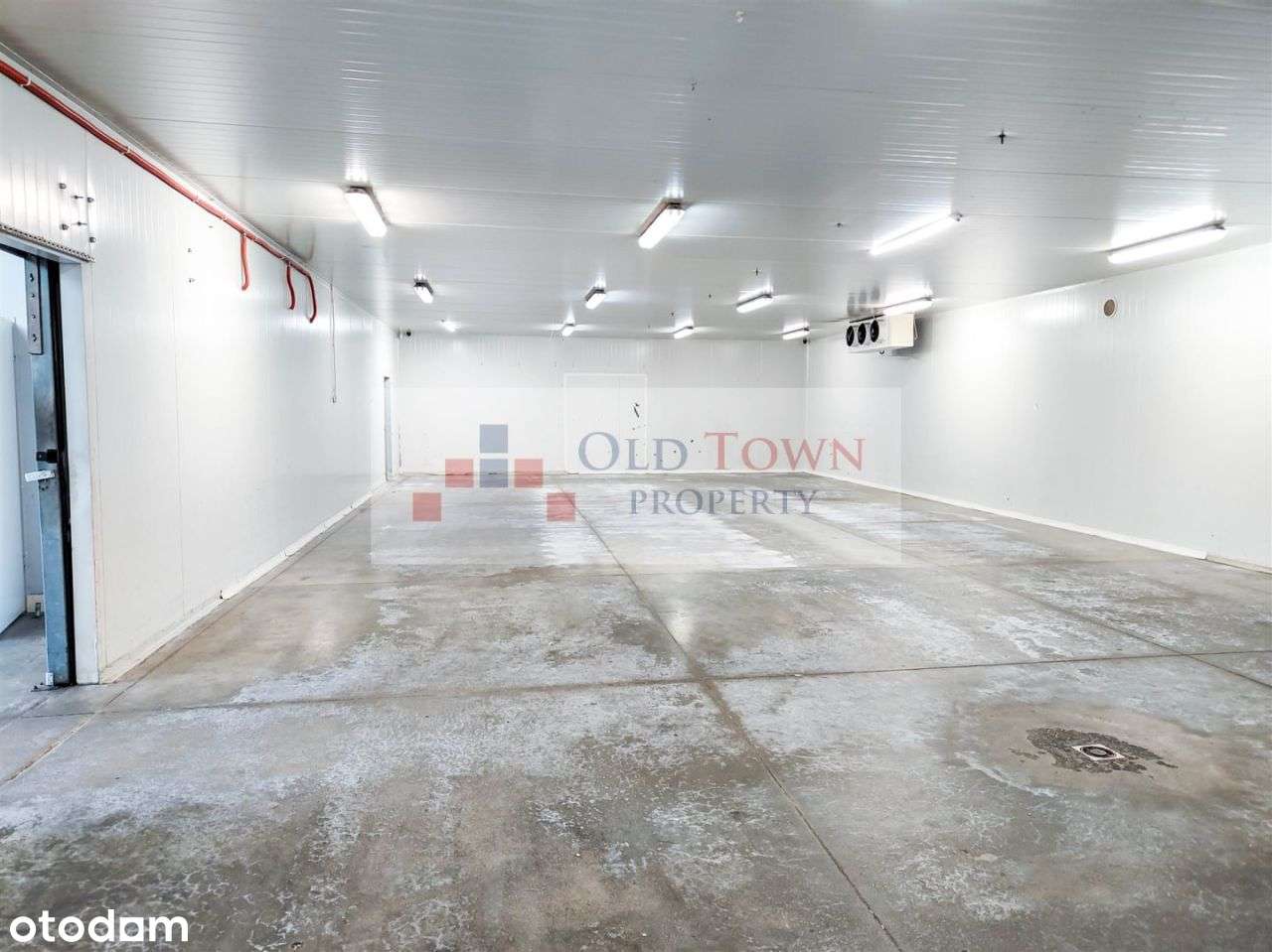 Hala z chłodnią 760 m2 Felin - Pełny obrazek: 4/20