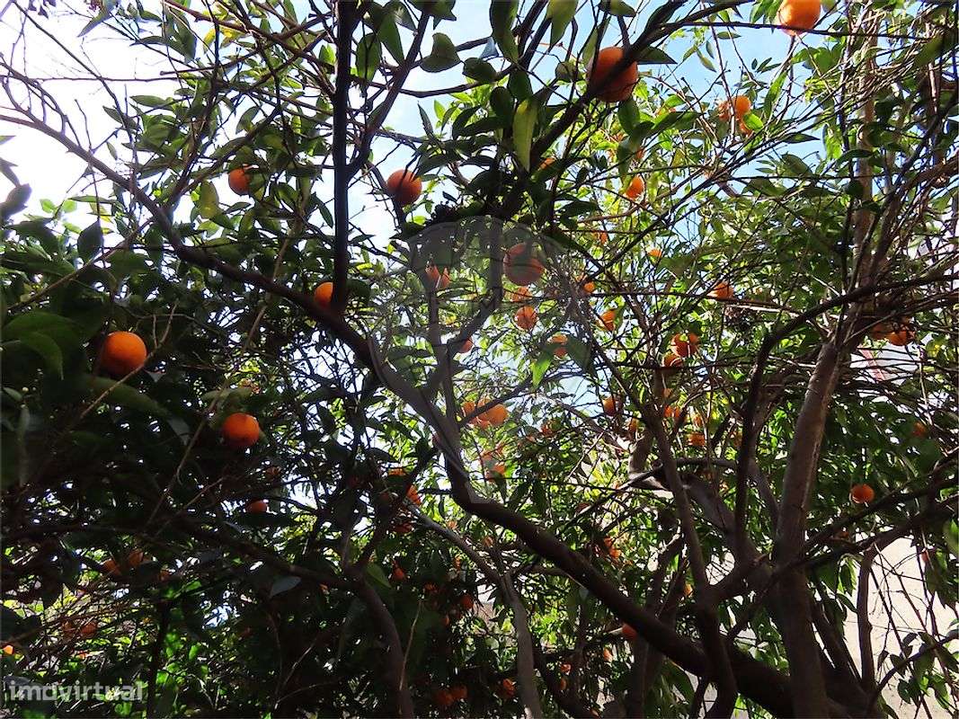 Moradia T2 para venda-24