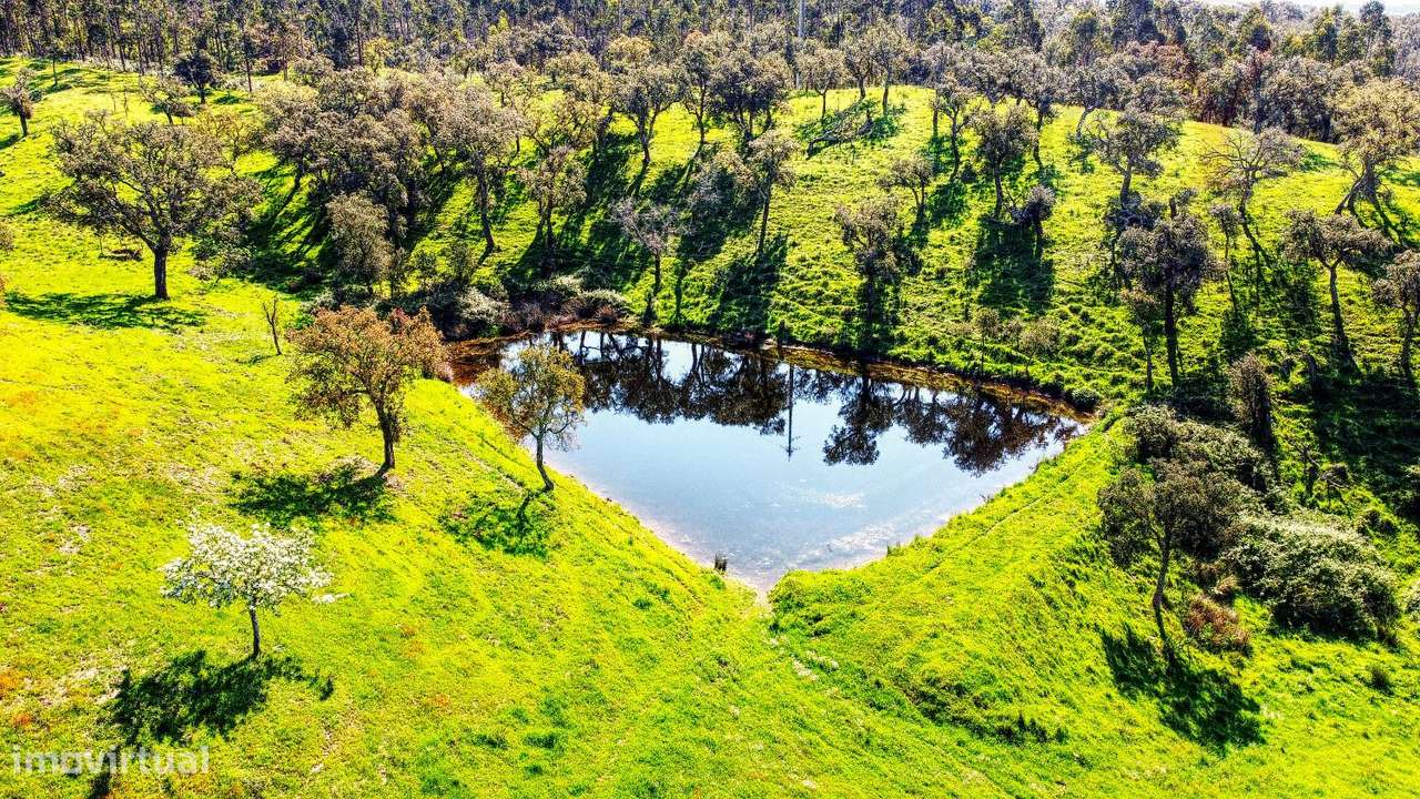 TERRENO EM S.BARTOLOMEU DA SERRA-0