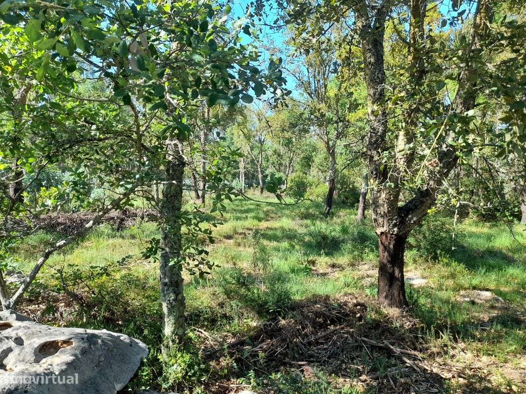 Terreno  para venda - Grande imagem: 3/10