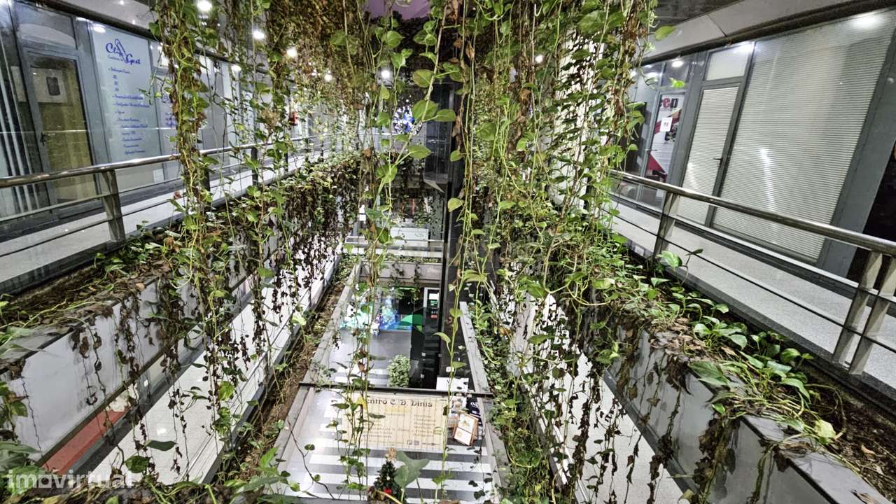 Loja no Centro Comercial Dom Dinis, em Coimbra - Grande imagem: 3/14
