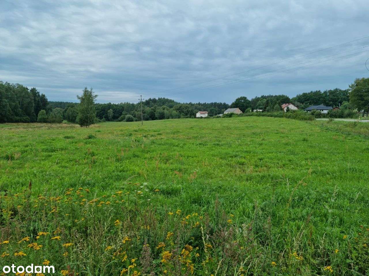 Wielka Piaśnica- budowlana z PNB.-5