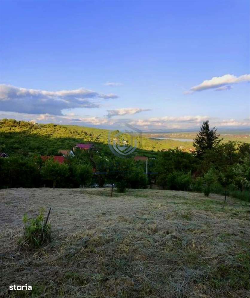 Teren Intravilan, Podgoria - Imagine principală: 3/5