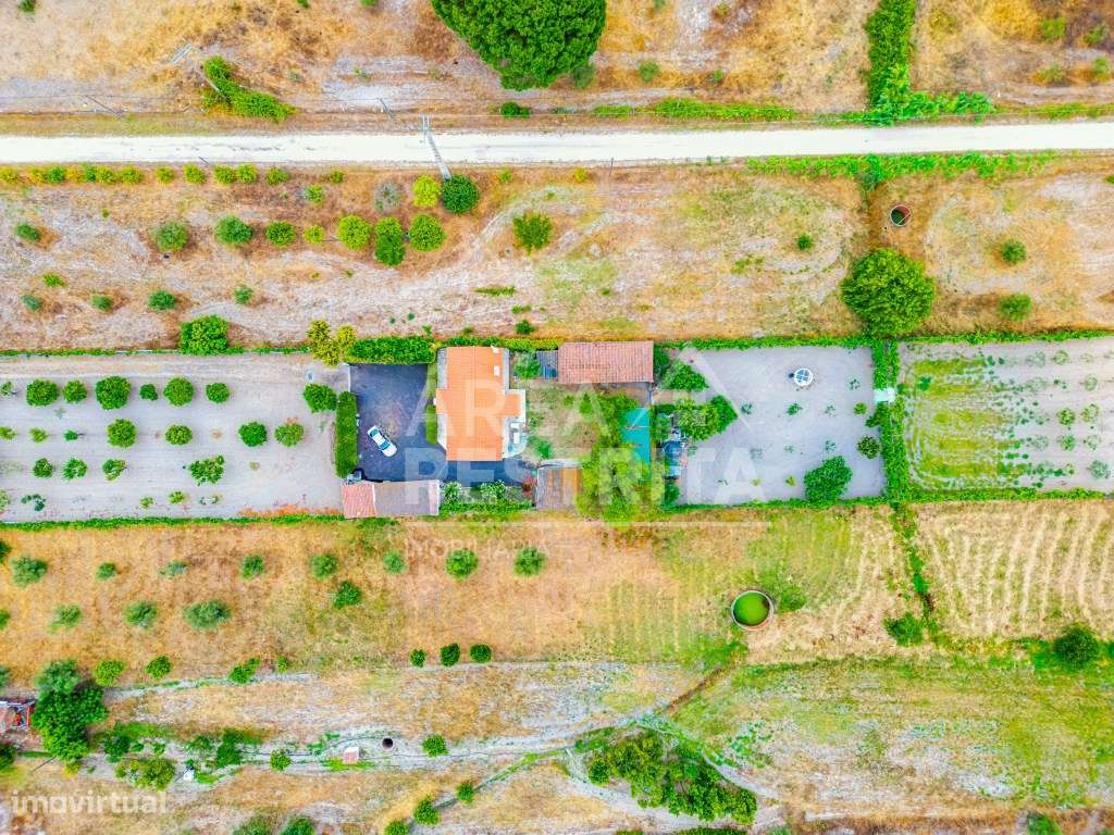 Quinta - Moradia T3 - Canha (Montijo) - 9000 m2 - Grande imagem: 4/56