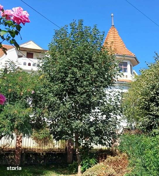 Casa solida cu arhitectura frumoasa aproape de padure si spital - Imagine principală: 5/8