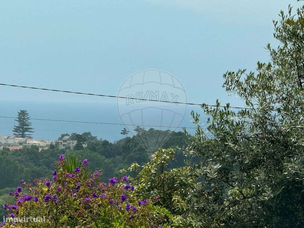 Terreno  para venda - Grande imagem: 5/12