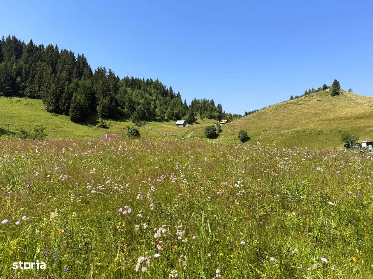 Teren intravilan, 8400 mp, comuna Fundata, zona Bran-Moeciu, Brasov-2