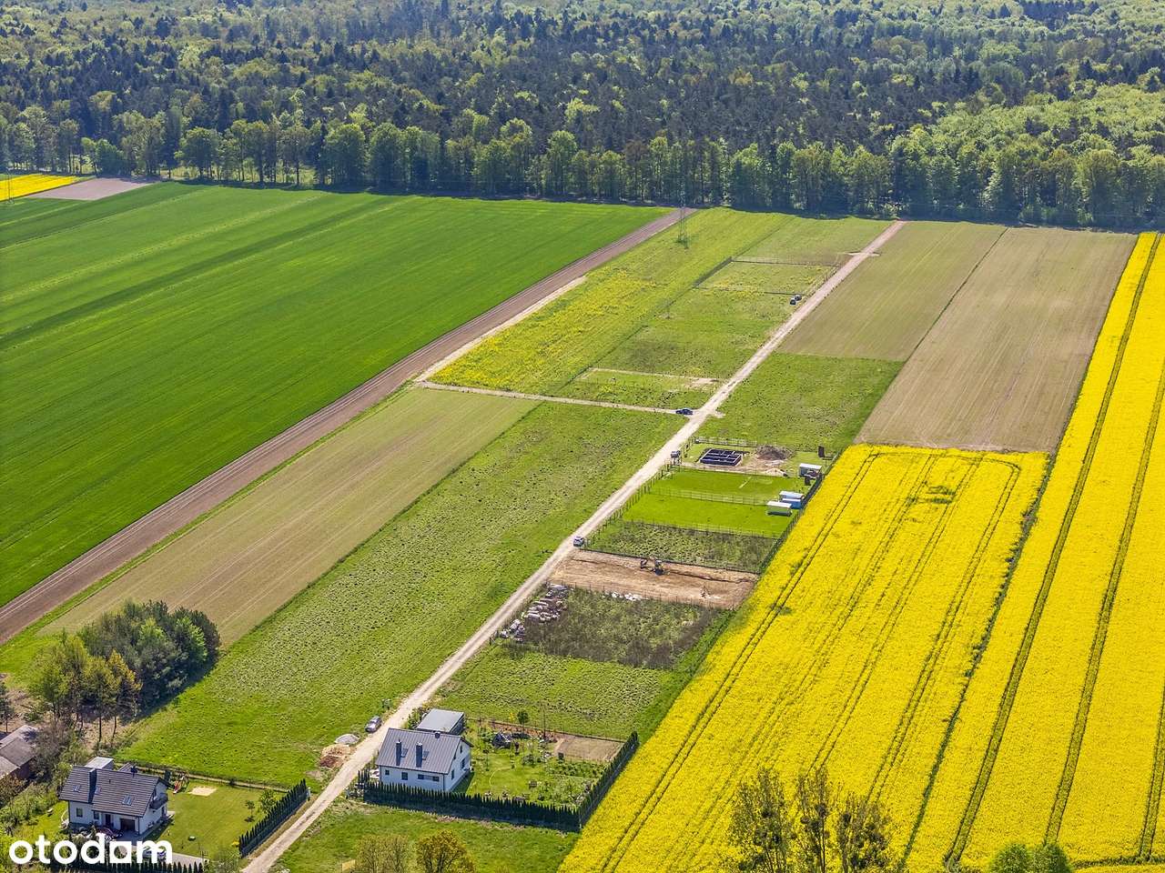 Działka budowlana, Widzew Nowosolna Andrespol Łódź 5 min - Pełny obrazek: 2/4