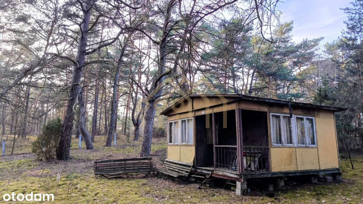 Działka nad Narwią! - Pełny obrazek: 5/16