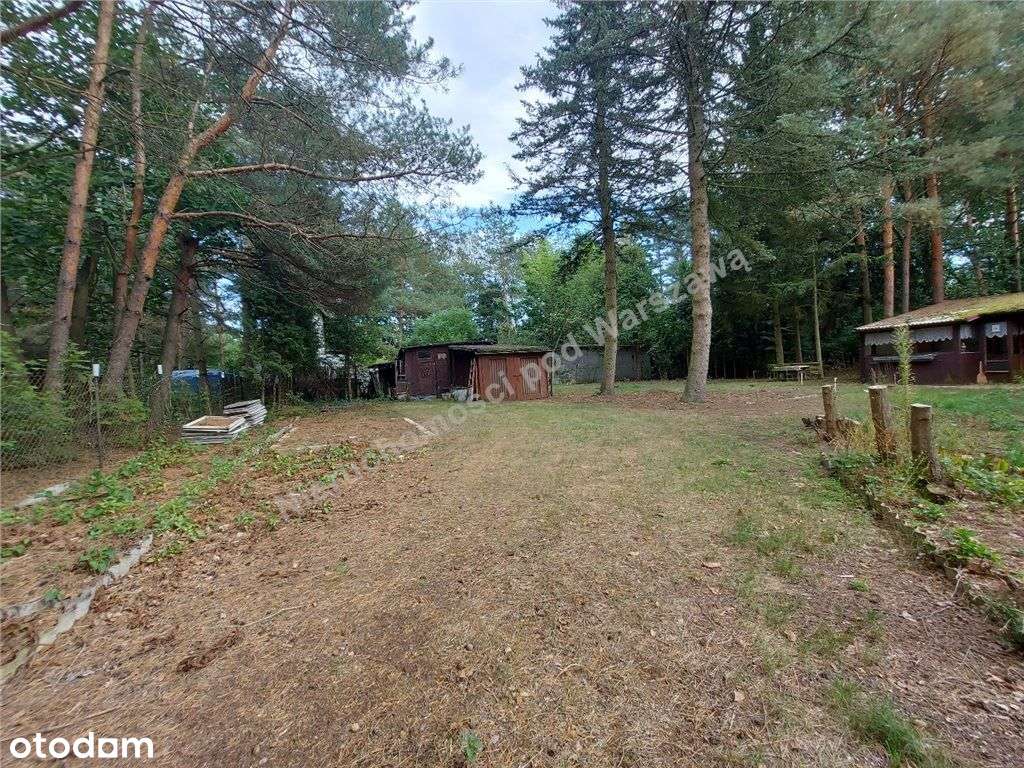 Cisza, Zieleń, Rzeka I Ona - Działka W Łosiu.-7