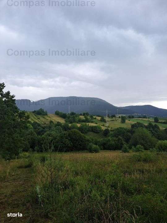 Teren Excepțional în Viisoara – Priveliște Panoramică - Imagine principală: 4/5