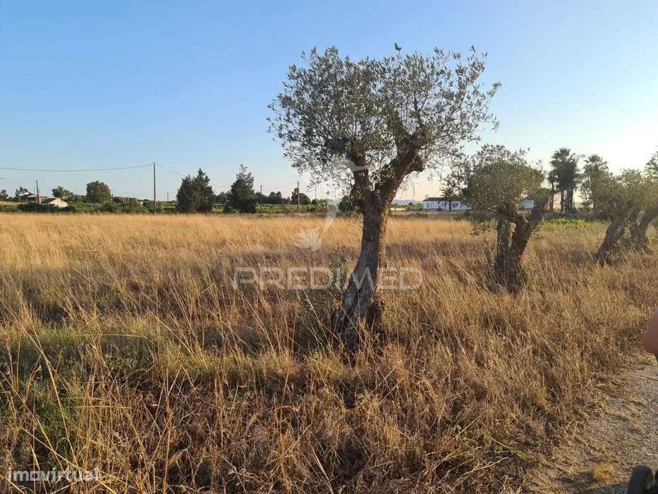 Terreno Lau Palmela - Grande imagem: 5/5