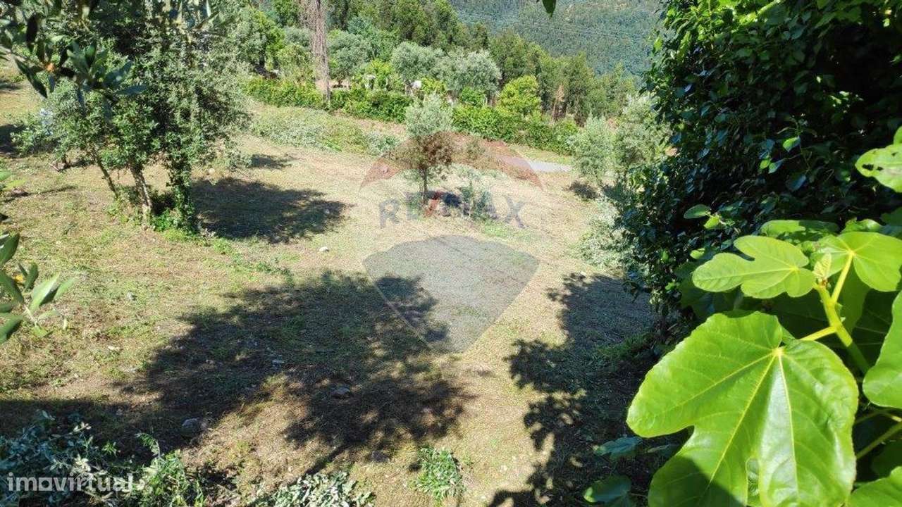 Terreno  para venda - Grande imagem: 3/33