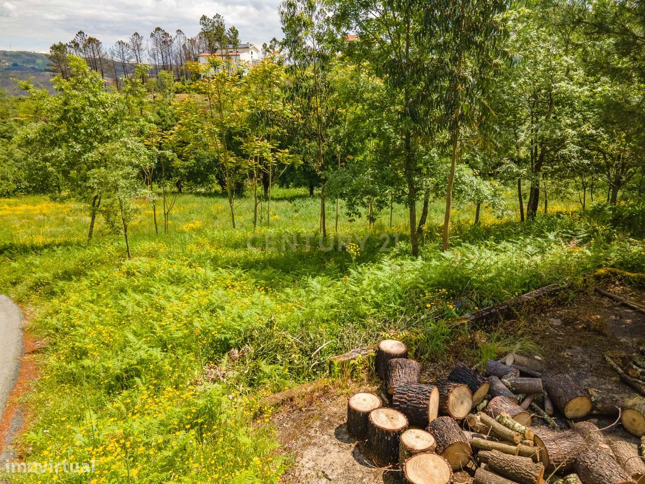 Terreno Rústico em Freixo,  Marco de Canaveses - Grande imagem: 4/17