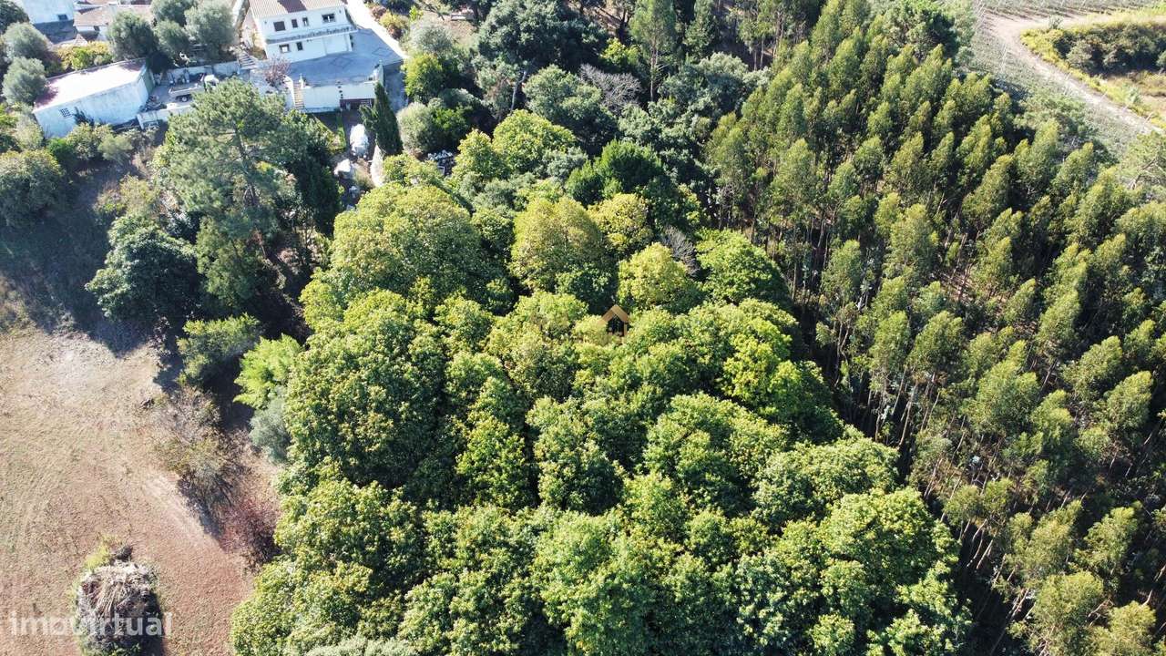 Terreno Rústico com 14.290 m² | Excelente Localização e Potencial-11