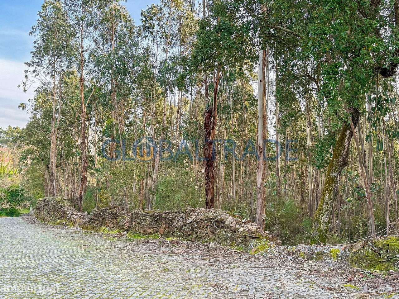 Terreno Urbano 1 768m² em Melres-0