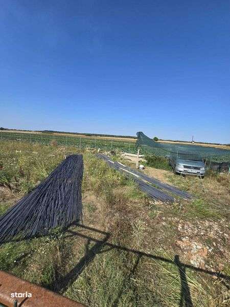 Terenuri de vanzare - Ilfov, Copaceni - Imagine principală: 4/8