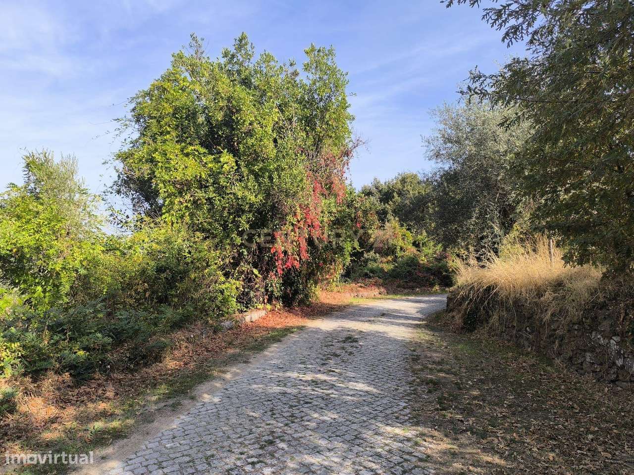 Terreno para construção de moradia - Grande imagem: 3/14