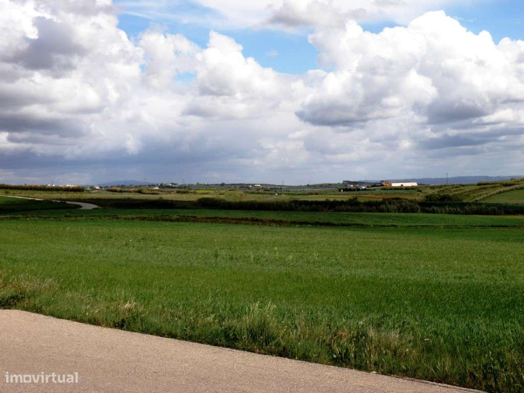 Venda de 2 Terrenos Agrícolas na zona do Paimogo, Lourinhã-12