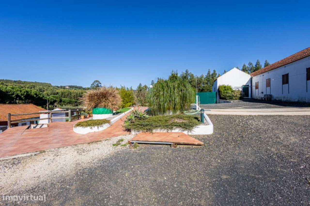 Quintinha com habitação, armazéns e terreno - Rio Maior-26