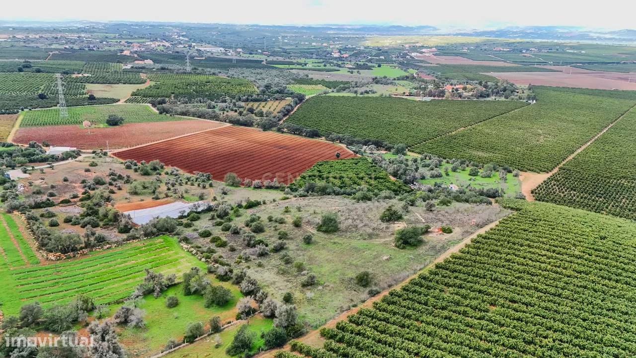 Terreno Rústico com Luz e Água entre Algoz e Tunes - Grande imagem: 5/17