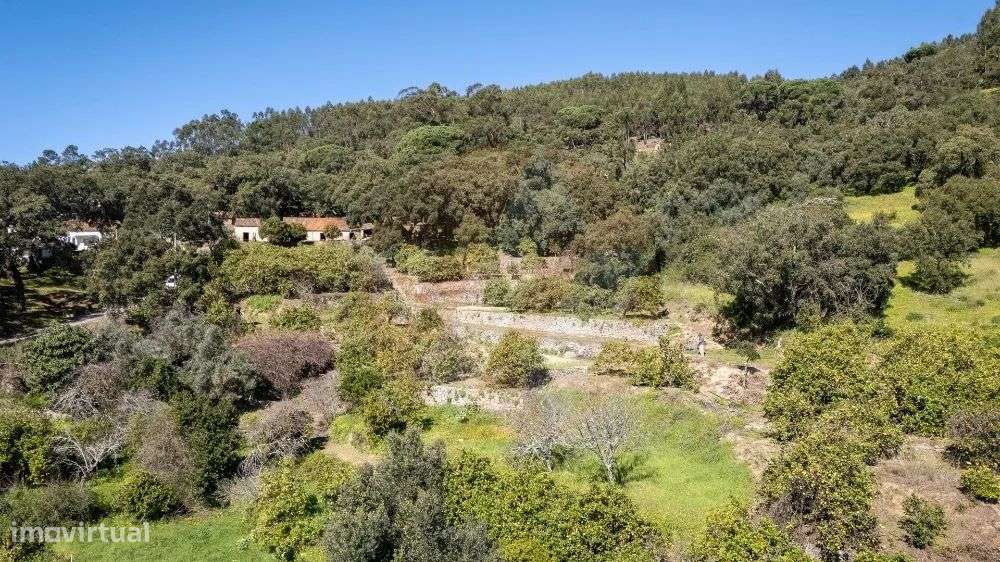 Quinta em Marmelete com grande potencial - Grande imagem: 5/24