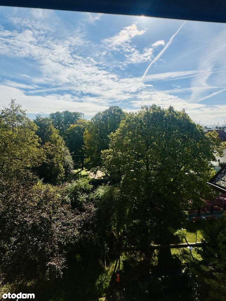 Duża i oryginalna kawalerka typu studio-2