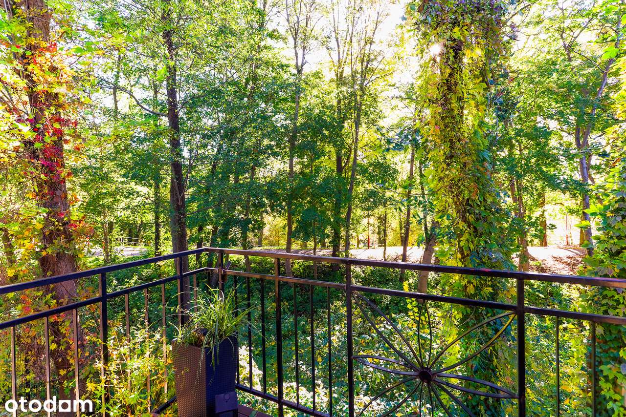 Twoja Prywatna Enklawa przy Parku Dolinka.-16