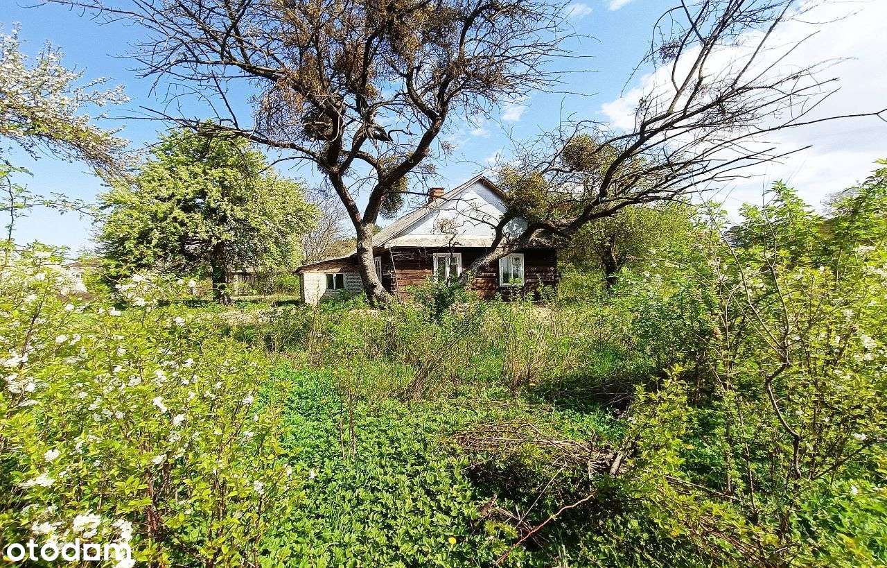 Siedlisko Pniówek, 3 km od Zamościa - Pełny obrazek: 4/19