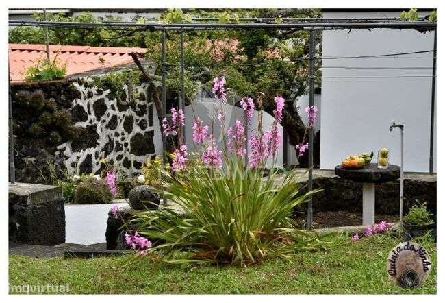 Quinta no lugar dos terreiros legalizada em A.L. - Grande imagem: 4/14