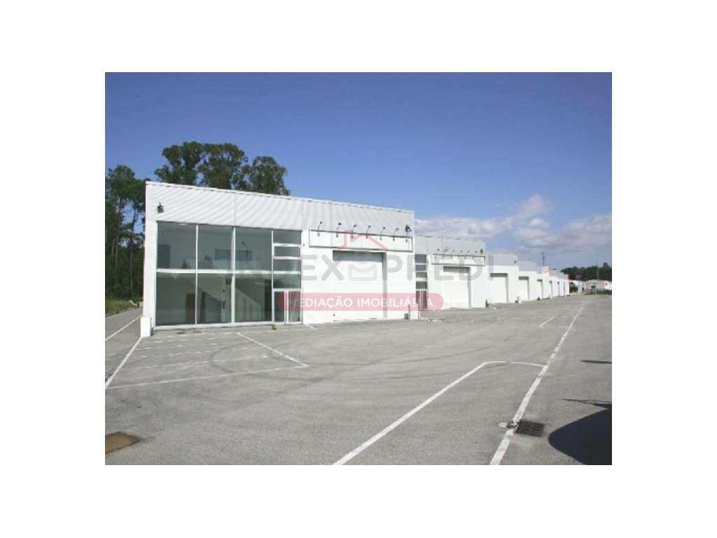 Armazém Zona Industrial - Barrô - Águeda - Grande imagem: 4/12