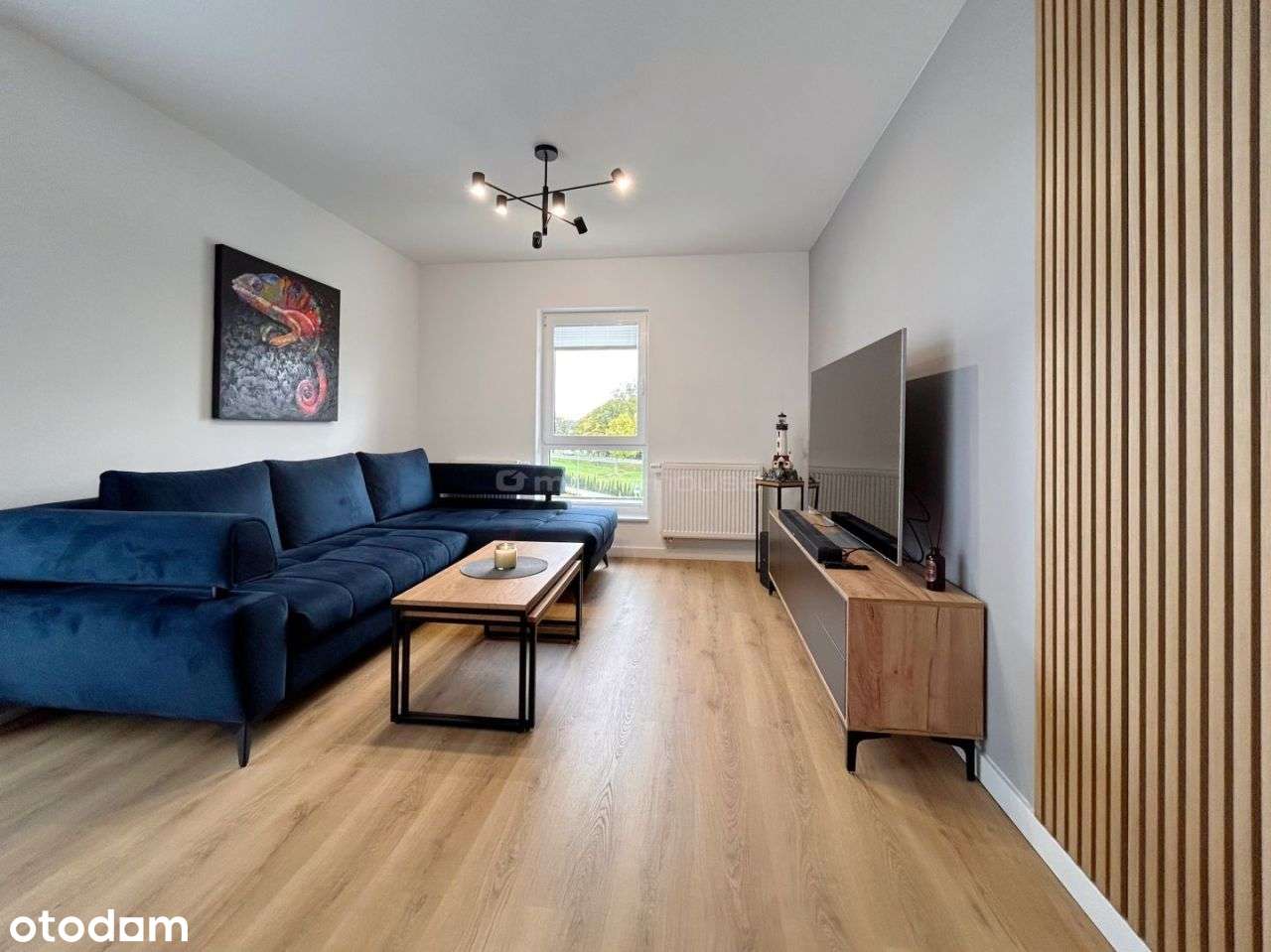 3 pokoje, balkon, winda, garaż w cenie - Kołobrzeg-2