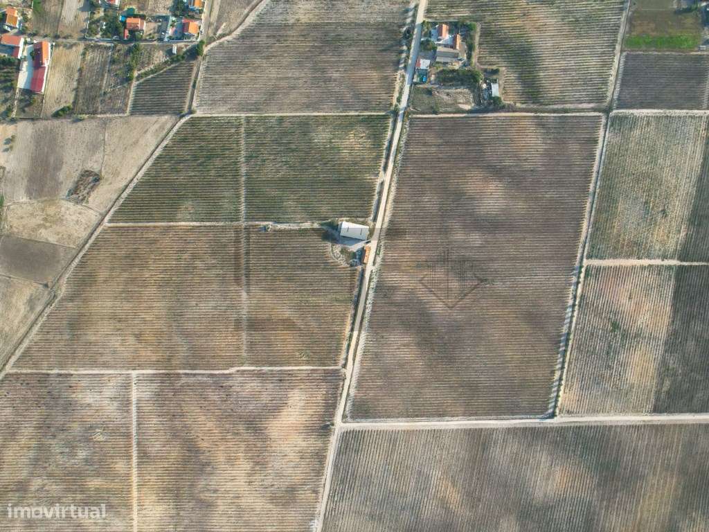 2 Terrenos / Vinha para Venda em Marateca, Palmela, Setúbal - Grande imagem: 4/33
