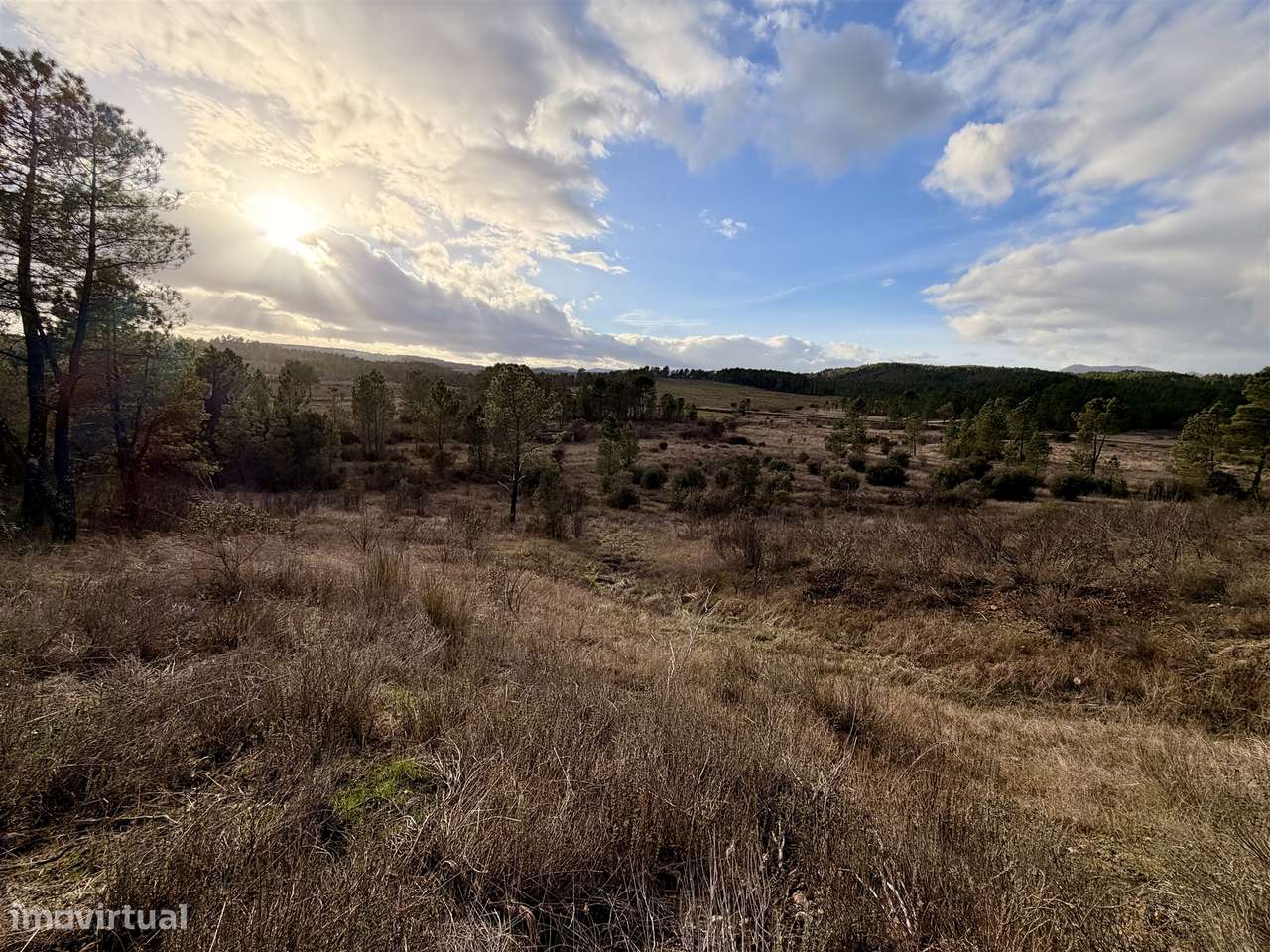 Quinta T0 Venda em Sarzedas,Castelo Branco-26