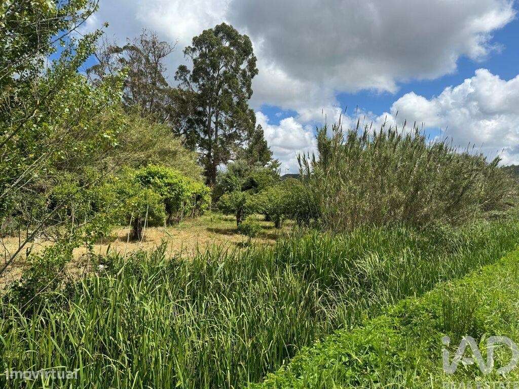 Terreno em Maiorga de 1020,00 m2 - Grande imagem: 3/16