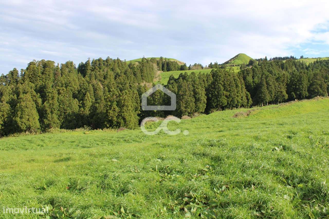 Terreno com 36.620 m2 - Ginetes - Ponta Delgada - Grande imagem: 5/9