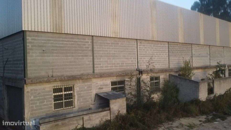 Pavilhão – Sever do Vouga - Grande imagem: 5/36