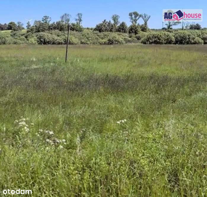 Okazja! Działka 3,3 ha niedaleko  nadmorskiej Łeby - Pełny obrazek: 2/5