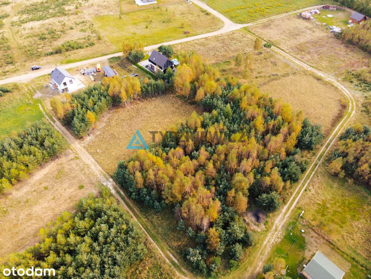 Działka budowlana w Odargowie – cisza i natura - Pełny obrazek: 4/11