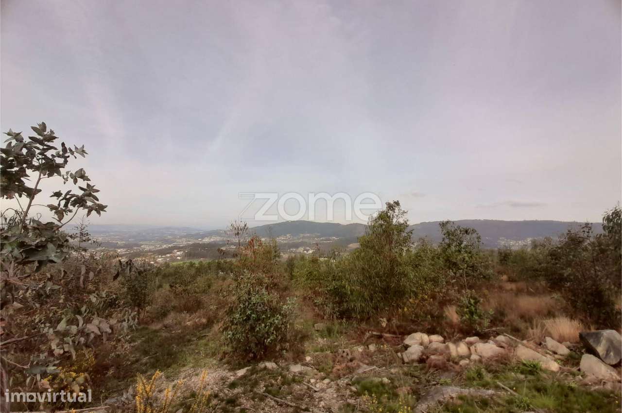 Terreno Florestal sito em Guimarei! - Grande imagem: 2/15