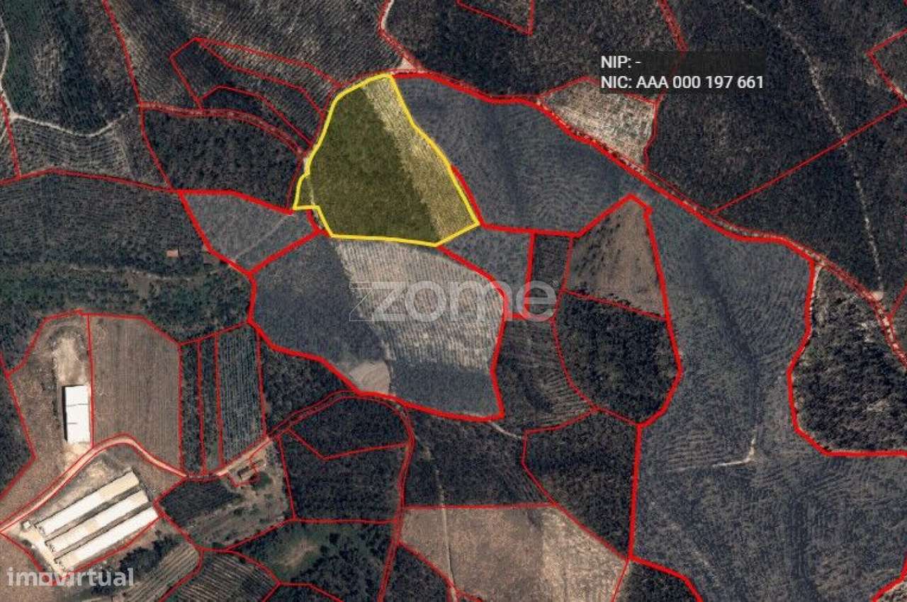 Terreno Rústico 1,6520 ha em Torres Vedras-12